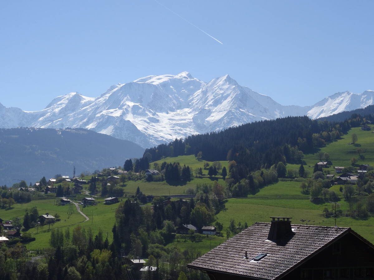 Appartement 2 pièces Combloux, vue Mont-Blanc et parking - Photo 1