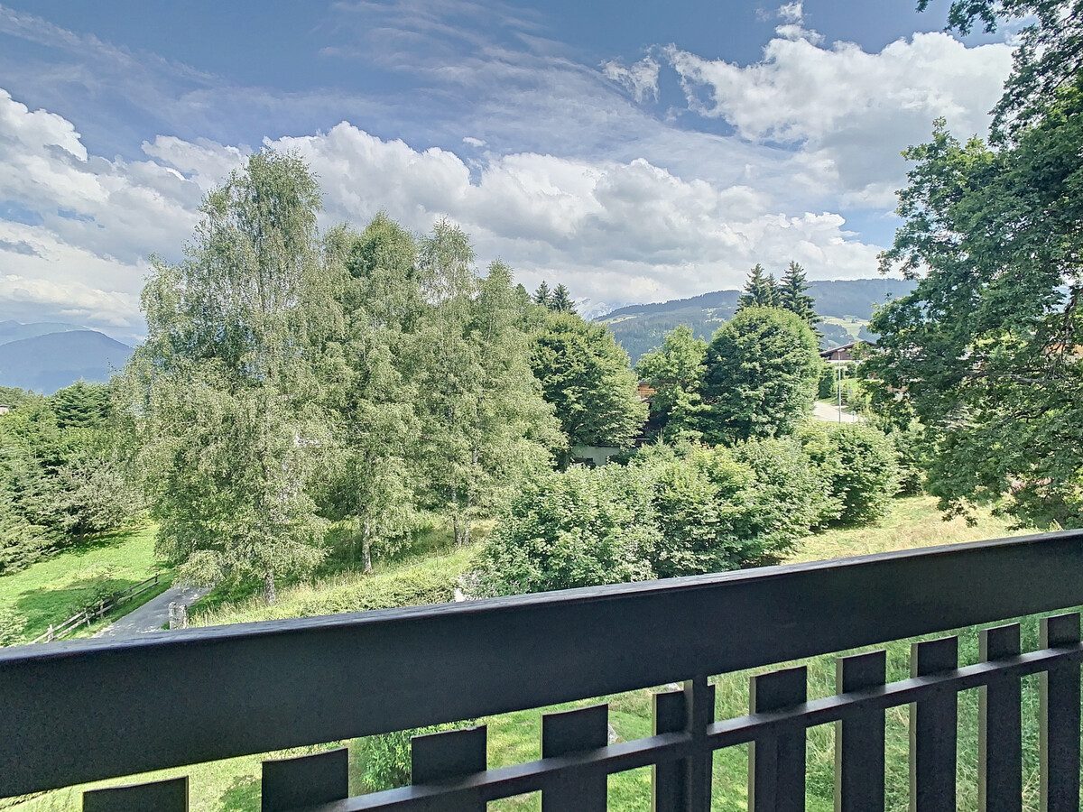 Duplex 35m² face au Mont Blanc, Combloux - Photo 10
