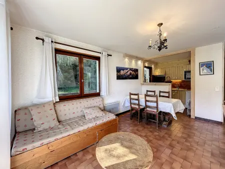 Appartement 3 pièces aux pieds des pistes à Combloux : photo 6