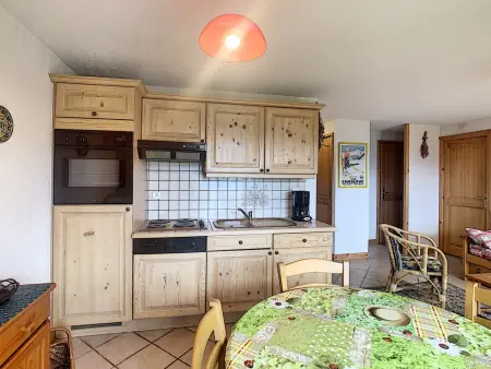 2 pièces cabine avec jardin et vue Mont-Blanc à Combloux : photo 10