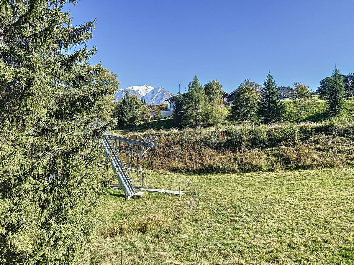 Appartement 3 pièces vue Mont-Blanc à Combloux - Photo 4