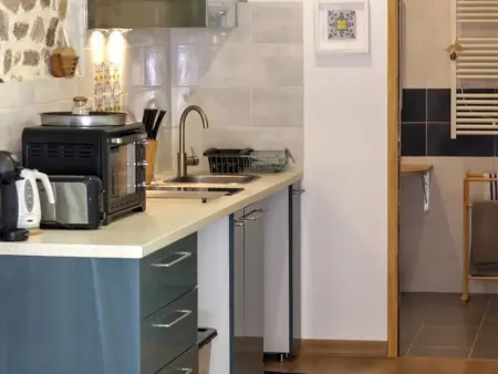 Studio 32 m² avec jardin privatif 120 m² en montagne : photo 5