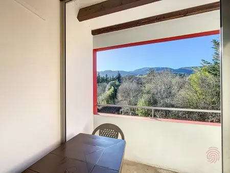 F2 avec terrasse à 400m du centre de Lamalou : photo 4