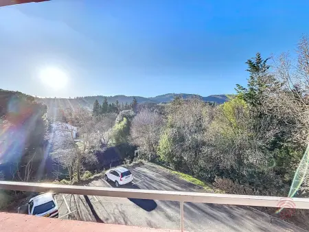 F2 avec terrasse à 400m du centre de Lamalou : photo 17