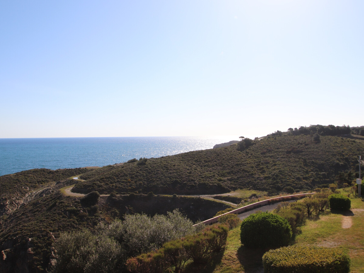 T2 Banyuls-sur-Mer, terrasse couverte avec vue mer - Photo 4