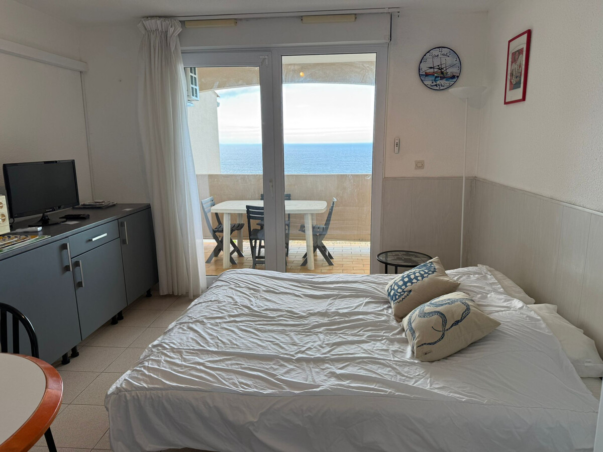 T2 Banyuls-sur-Mer, terrasse couverte avec vue mer - Photo 12