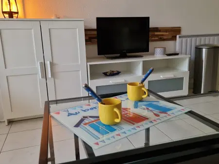 Appartement T2 rez-de-jardin à 300 m de la plage : photo 6