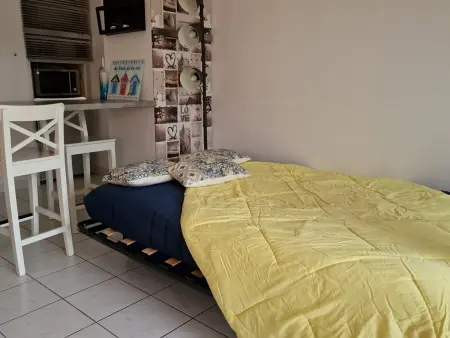 Appartement T2 rez-de-jardin à 300 m de la plage : photo 10