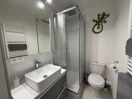 Appartement T2 rez-de-jardin à 300 m de la plage : photo 17