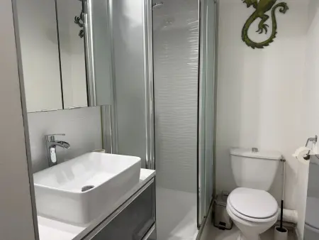 Appartement T2 rez-de-jardin à 300 m de la plage : photo 19