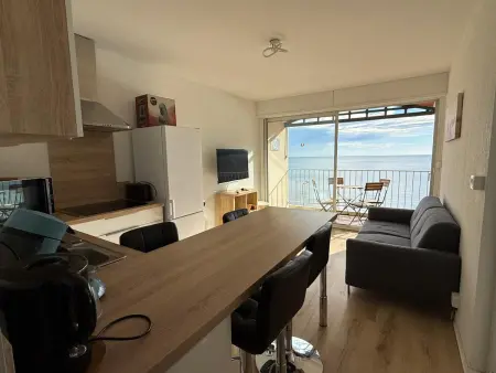 Appartement T3 climatisé face à la plage à Banyuls : photo 9