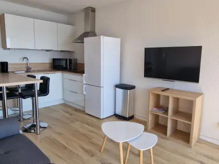 Appartement T3 climatisé face à la plage à Banyuls : photo 10