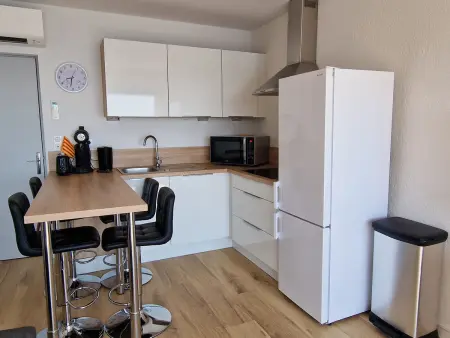 Appartement T3 climatisé face à la plage à Banyuls : photo 11