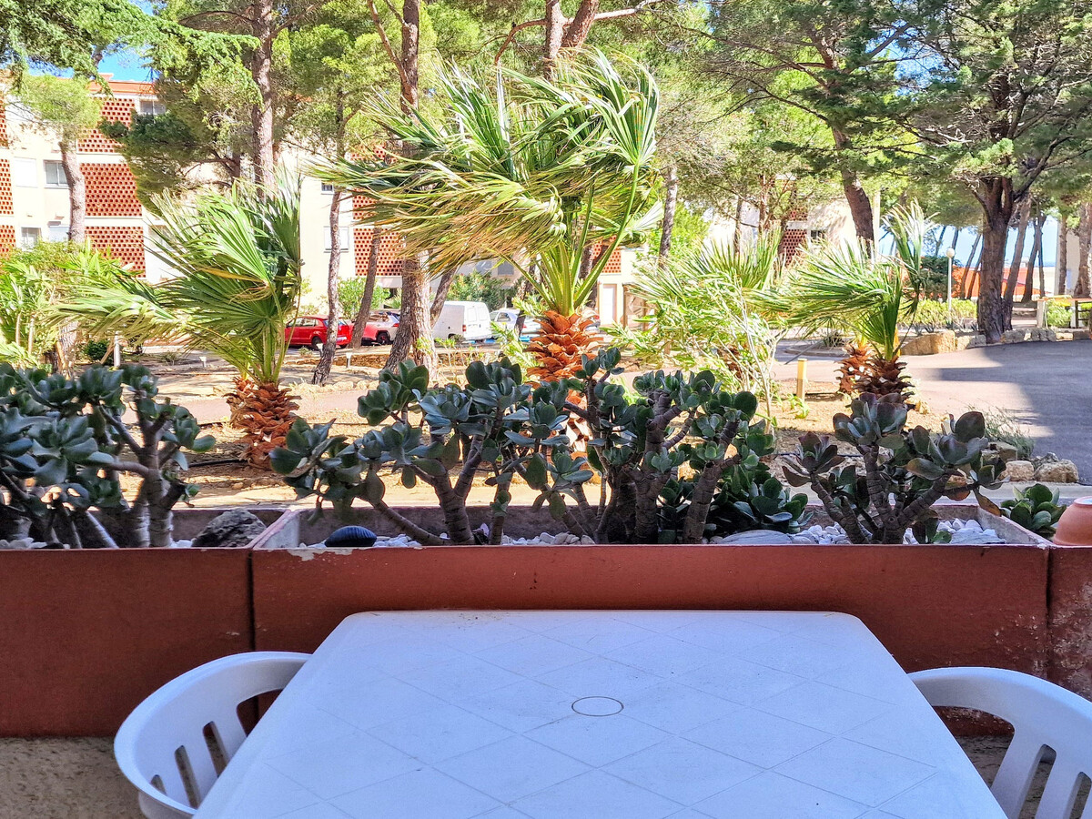 T3 Banyuls-sur-Mer, terrasse couverte, parking privé - Photo 5