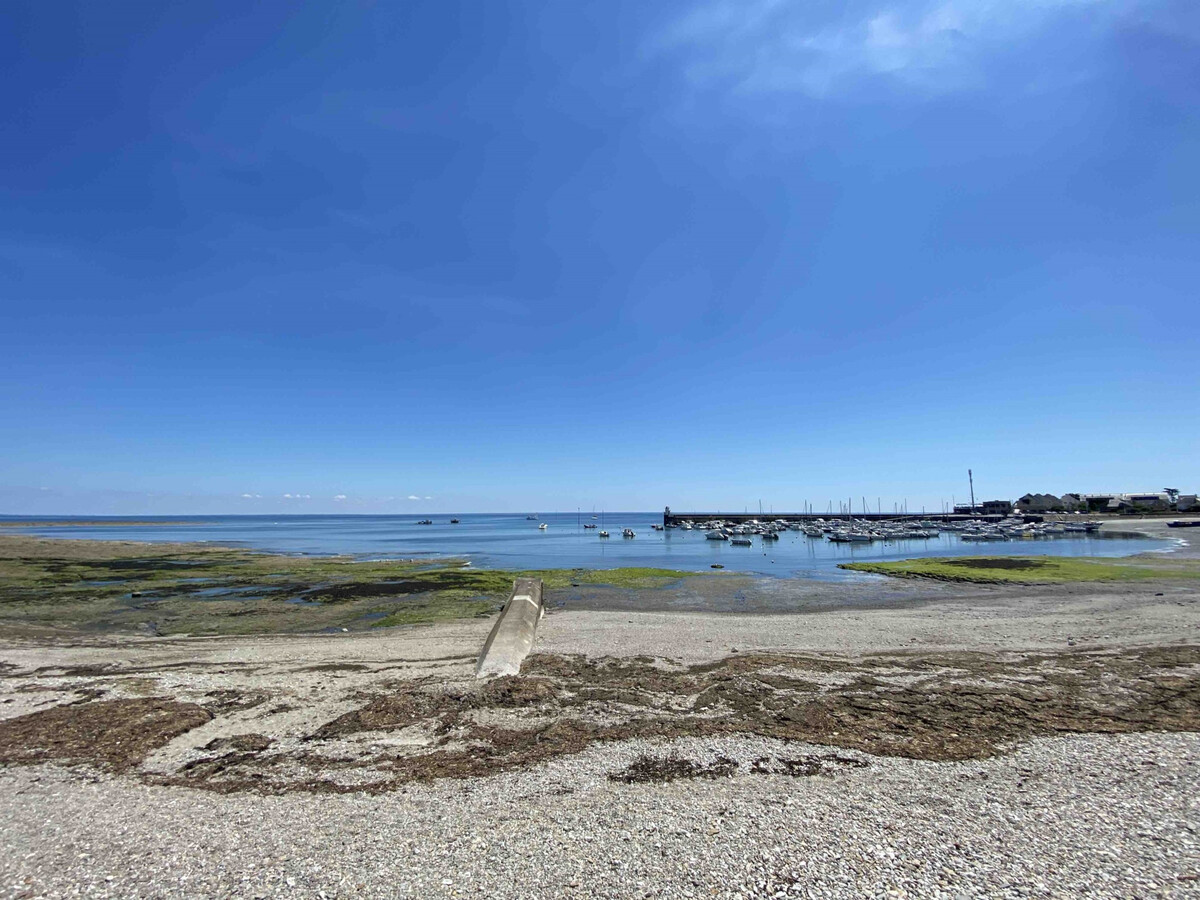 Appartement 3P balcon mer et port - Sarzeau - Photo 13