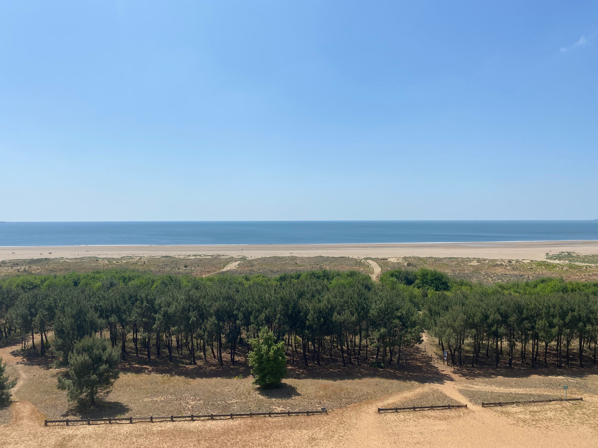 T2 rénové vue mer, balcon 10m², parking - Saint-Brevin - Photo 13