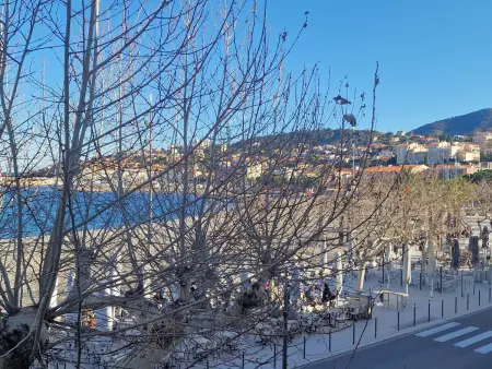 Location appartement à Banyuls sur Mer, BANYULS-SUR-MER, appartement de type T3 à 50 m de la plage, climatisé, vue mer