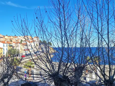 T3 climatisé à 50m de la plage, Banyuls-sur-Mer : photo 2