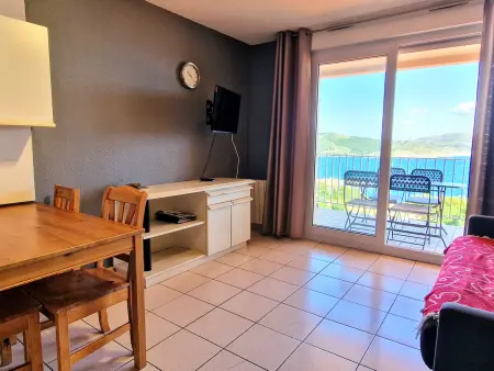 Appartement vue mer à Banyuls-sur-Mer, terrasse couverte : photo 9