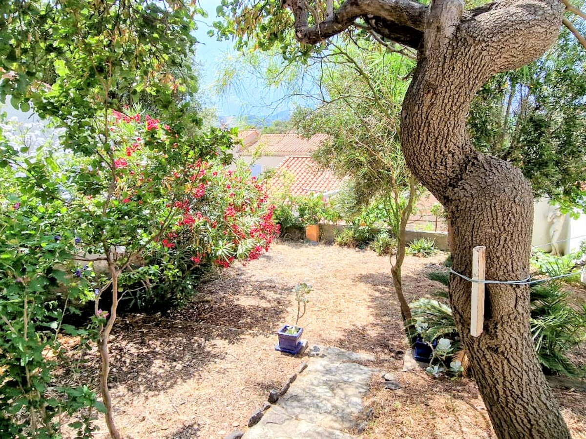 T3 rez-de-jardin avec parking à Banyuls-sur-Mer - Photo 3