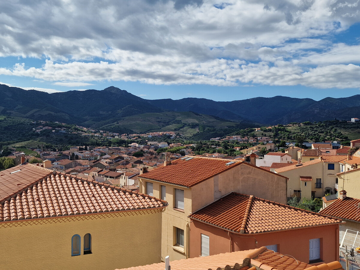 Studio Banyuls-sur-Mer, terrasse vue baie, 10 min plages - Photo 3