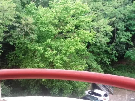 T2 Centre Arcachon, parking privé, balcon : photo 11