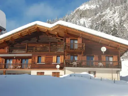 Appartement 6 pers. vue Aravis, 200 m navette gratuite : photo 12
