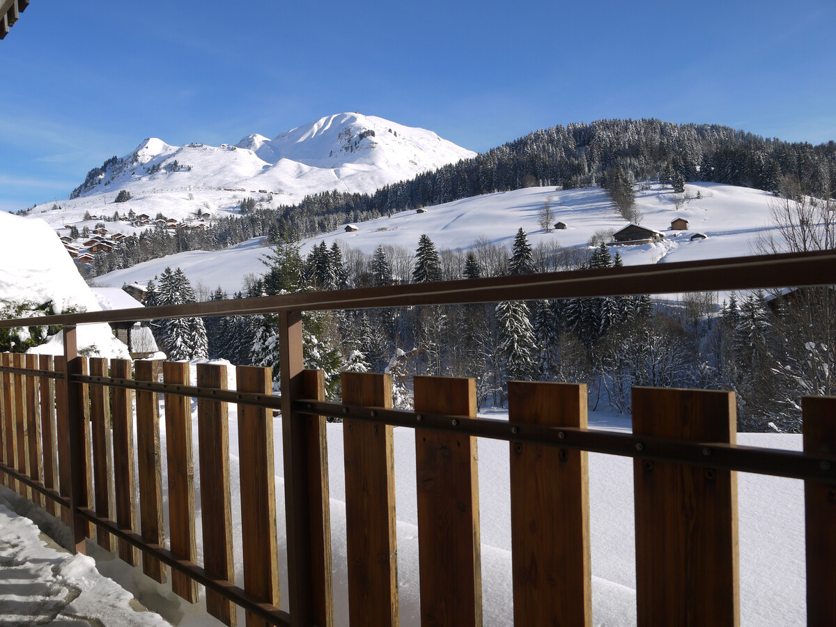 Bachal n°3 : Appart 8 pers, cheminée, vue Aravis - Photo 9