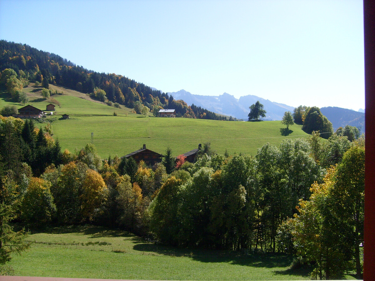 Appt Fleur des Alpes, 12 pers., 800 m des pistes - Photo 13