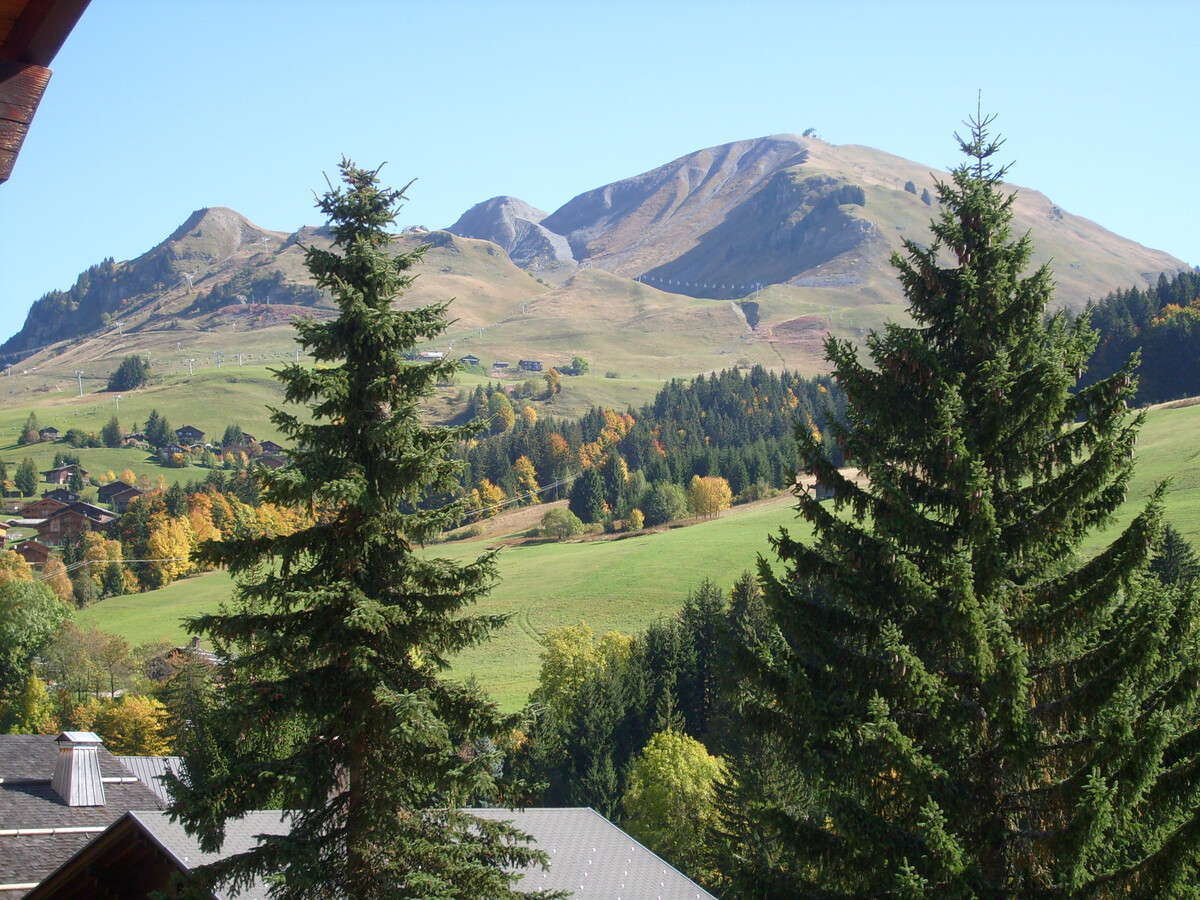 Appt Fleur des Alpes, 12 pers., 800 m des pistes - Photo 14