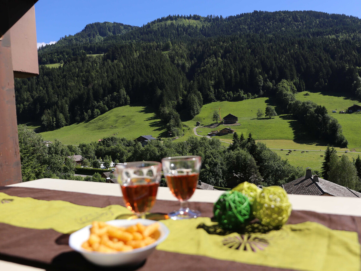 Appartement vue Aravis, 700 m des pistes au Grand-Bornand - Photo 14