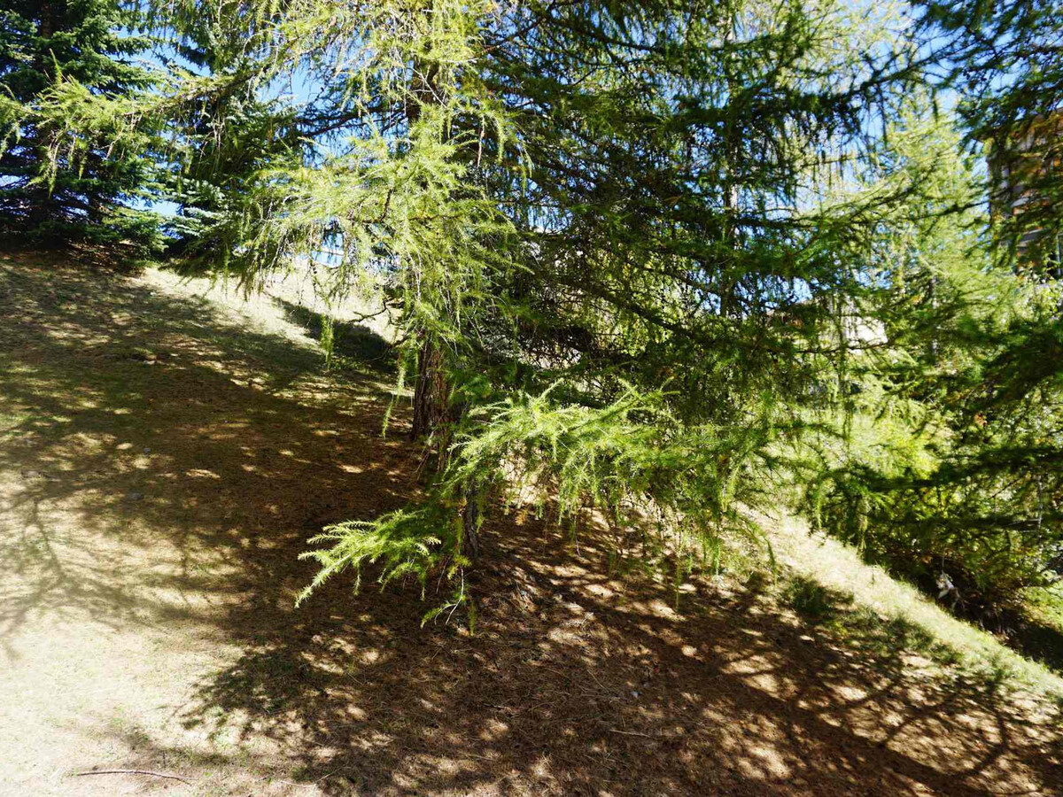 Studio 27m² 4 pers, animaux acceptés, pistes à proximité - Photo 9
