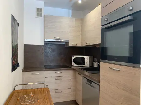 Appartement 2/3 pièces avec balcon, cœur de Pra-Loup 1600 : photo 2