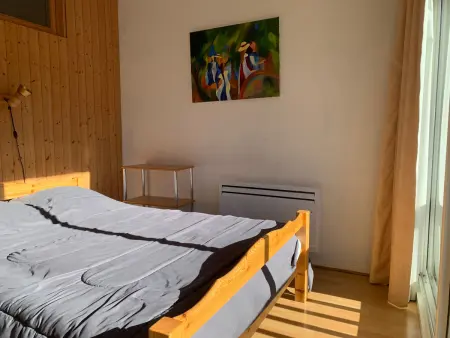 Appartement 2/3 pièces avec balcon, cœur de Pra-Loup 1600 : photo 11