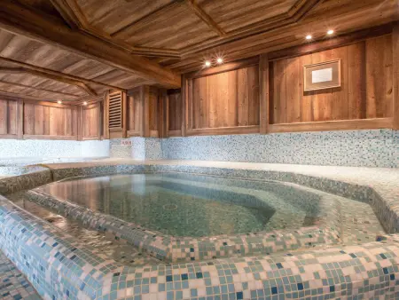 3 pièces pied de pistes, piscine chauffée et spa : photo 26
