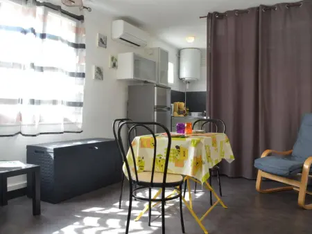 Studio climatisé Banyuls, 200 m des plages : photo 4