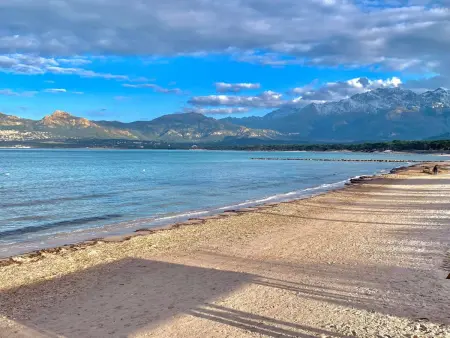 Appartement 2 pièces Calvi, 700 m plage, parking : photo 16