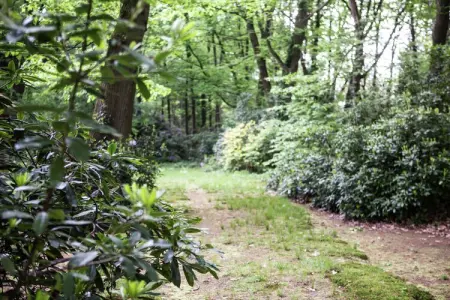 Maison Boskant à Westmalle, 7 pers., jardin & forêt : photo 22