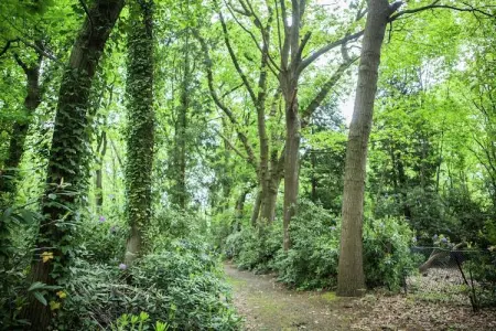 Maison Boskant à Westmalle, 7 pers., jardin & forêt : photo 23