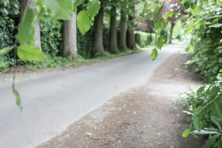 Maison Boskant à Westmalle, 7 pers., jardin & forêt : photo 26