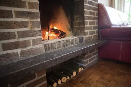 Maison Boskant à Westmalle, 7 pers., jardin & forêt : photo 39