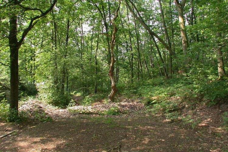 Het Hertenbos - Chalet 4 pers. à Lanklaar - Photo 6