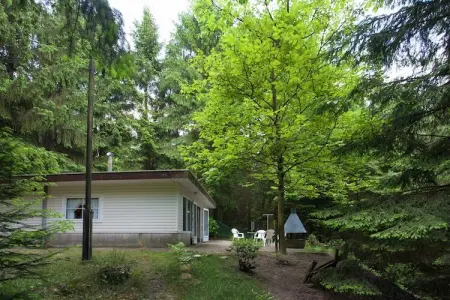 Chalet Boshuis het Eekhoorntje à Lanklaar : photo 7
