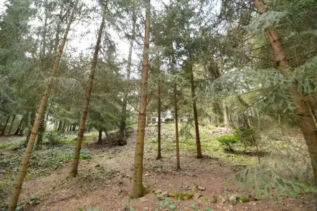 Chalet Boshuis het Eekhoorntje à Lanklaar : photo 16