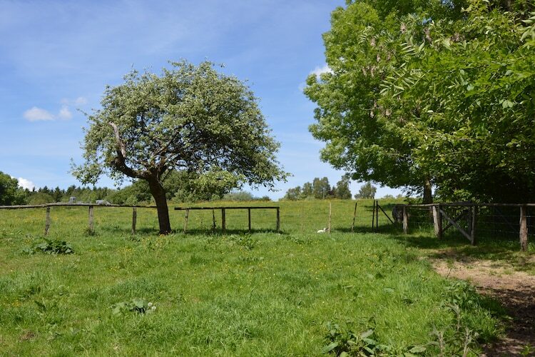 Pre Lamborelle, maison 9 personnes aux Ardennes - Photo 22
