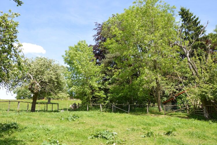 Pre Lamborelle, maison 9 personnes aux Ardennes - Photo 23