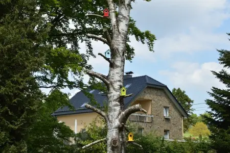 Haus Annick, Maison de vacances avec sauna et terrasse - Photo 29