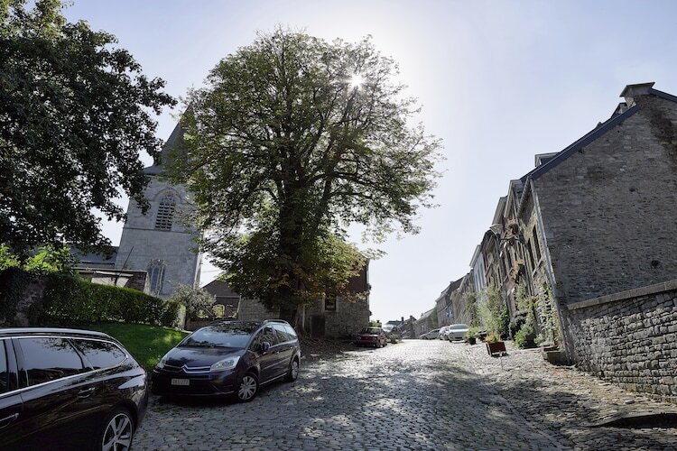 Le Dragon – Maison 10 pers. à Limbourg - Photo 30
