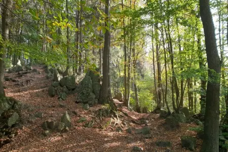 Le Dragon, Escapade de charme au Limbourg - Photo 32
