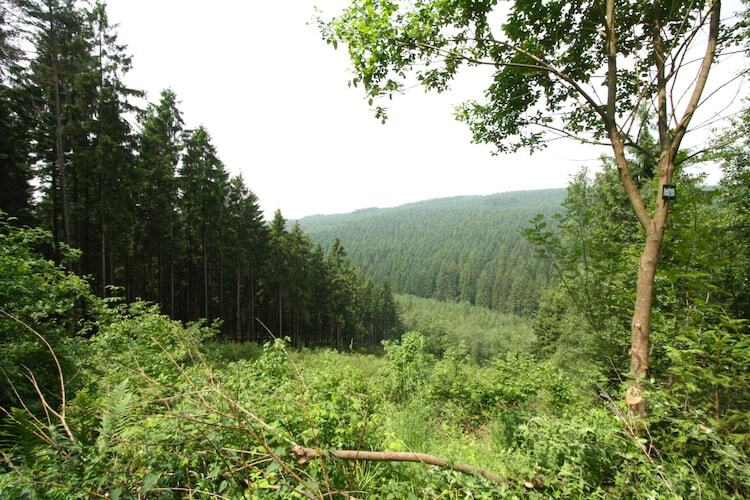 Maison 5 chambres pour 13 personnes à Waimes - Photo 23